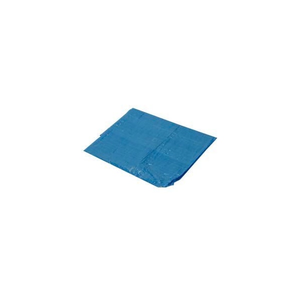 Light Duty Tarp, 20 ft x 20 ft, Blue, High-Density Polyethylene